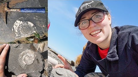 Fossil Friday - Hunt Ammonites With Me ⛏️