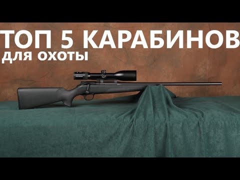 Топ 5 Лучших Карабинов Мира