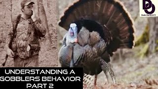 Understanding a GOBBLERS Behavoir Part 2