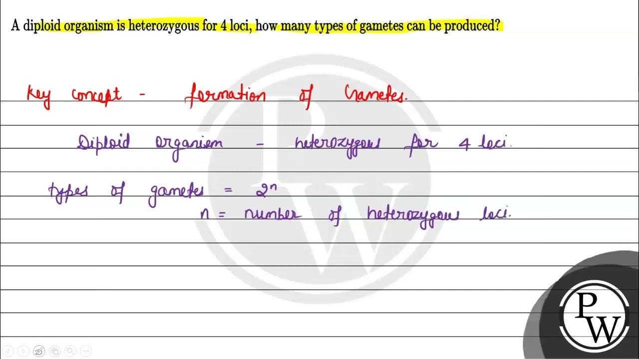 A diploid organism is heterozygous for 4 loci how many types of