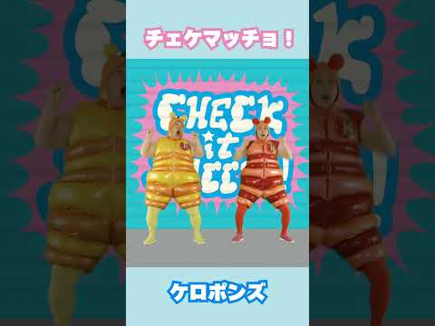 チェケマッチョ!/ケロポンズ