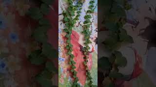 평창펜션 하이디하우스