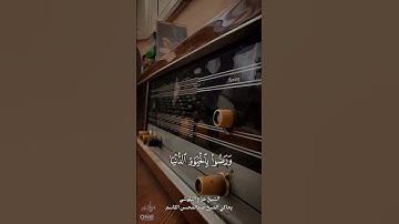 تلاوة عذبة | هزاع البلوشي #قرآن #قران_كريم #هزاع_البلوشي #تلاوة_خاشعة