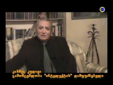 ერთი ჟურნალისტის ტელევიზია