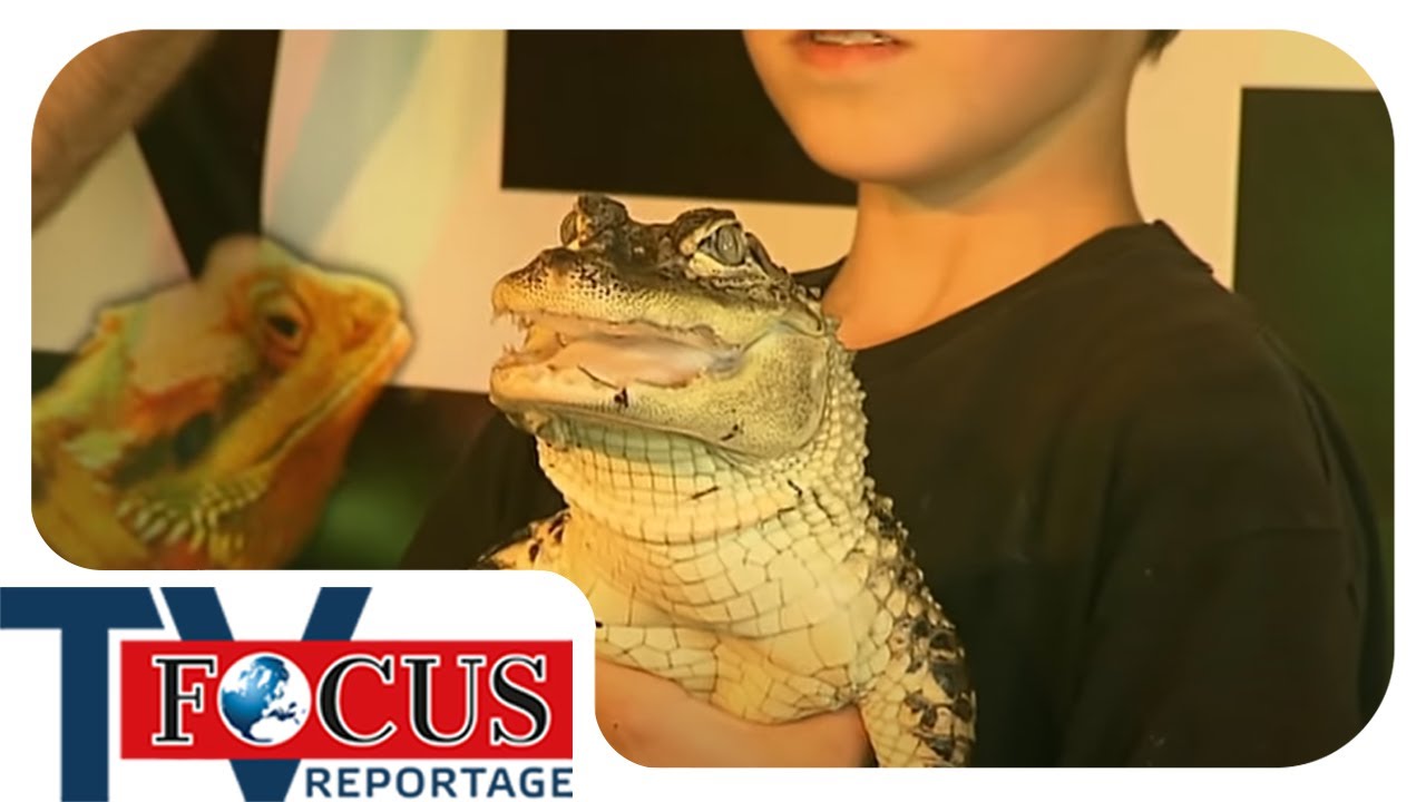 Krokodile zum Kuscheln – Eine Familie eröffnet einen Zoo | Focus TV Reportage