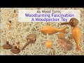 Woodturning Fascination - A Woodpecker Toy