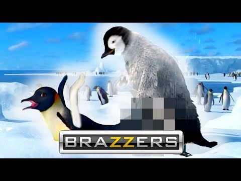 Video: Happy Feet Penguin Započinje Dugo Plivanje Kući