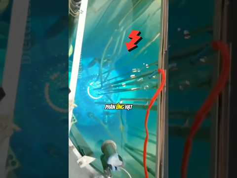 Tại sao lò phản ứng hạt nhân lại có ánh sáng xanh ?