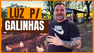 A LUZ NATURAL MUDOU: CUIDADO COM AS GALINHAS POEDEIRAS EM FASE DE RECRIA