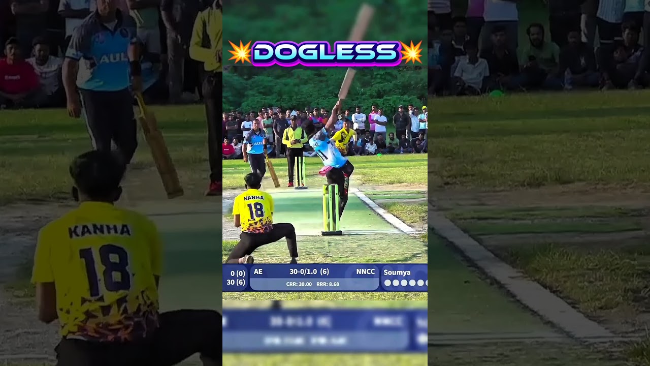 DOGLESS 💥HARD SHOT 🏏POWERFUL SHOT 💥DOGLESS SHOT🏏