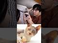Funny Cat Video 😂😂😂#Shorts#Funkis #fails #memes