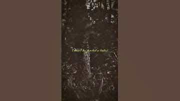 "Why Consistency Beats Talent" #motivation #mindset #succesrules #quotes