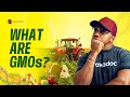 The Truth About GMOs The Truth About GMOs