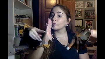 Introduction Video ASL 2150