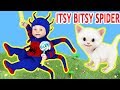 Itsy Bitsy Spider went up the waterspout Nursery Rhyme