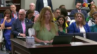 A.I. porn crackdown in Florida