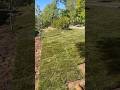#sod #installation