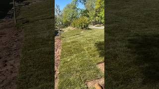 #sod #installation