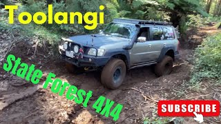 TOOLANGI STATE FOREST 4X4 epp//032