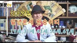 2022년 임인년 원숭이띠 일년운세 행복하고 즐거운 한해보내시기를 기원해드리겠습니다