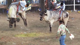 ¡¡¡JARIPEO EN TOCUARO MICHOACAN 5 DE FEBRERO 2022!!! TRES GANADERIAS