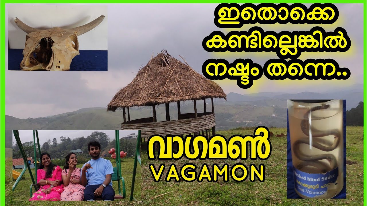 Vagamon, Vagamon Tourist places, Vagamon places to visit, Vagamon trip