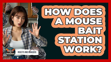 How Does A Mouse Bait Station Work? - Insects and Invaders