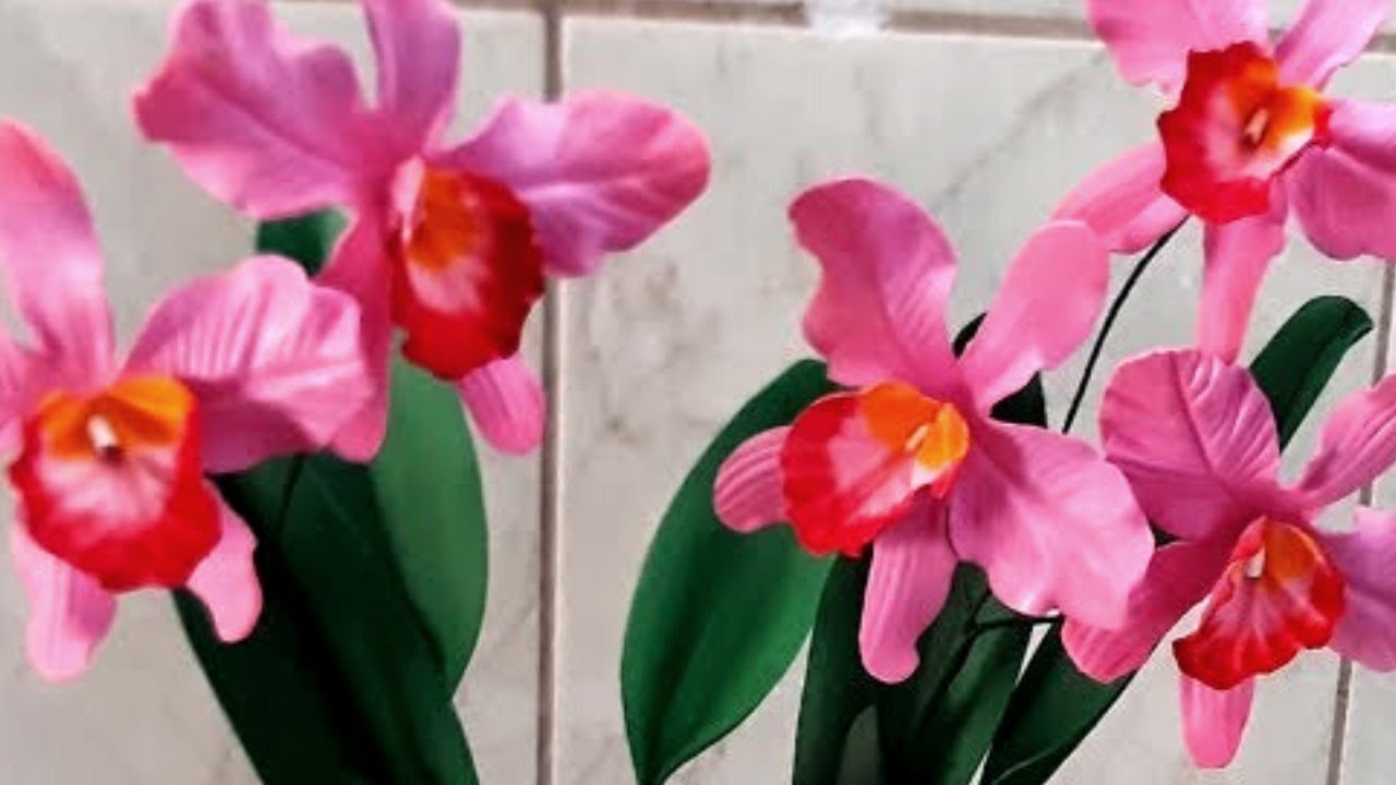 orquidea  conjugada Cathileia labiata  em  uma das flores mais vendáveis. faça e ganhe dinheiro