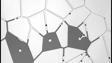 Water-oil displacement in microfluidic porous media models - Part Three