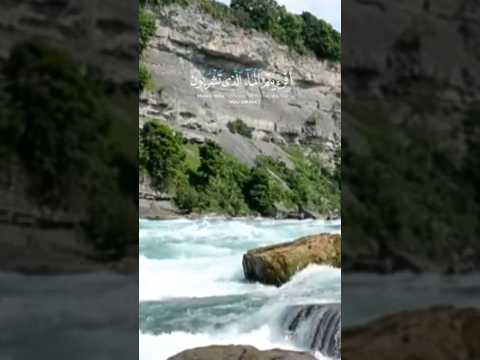 افرءيتم الماء الذي تشربون القارئ أحمد النفيس القرآن الكريم تلاوات إسلاميات