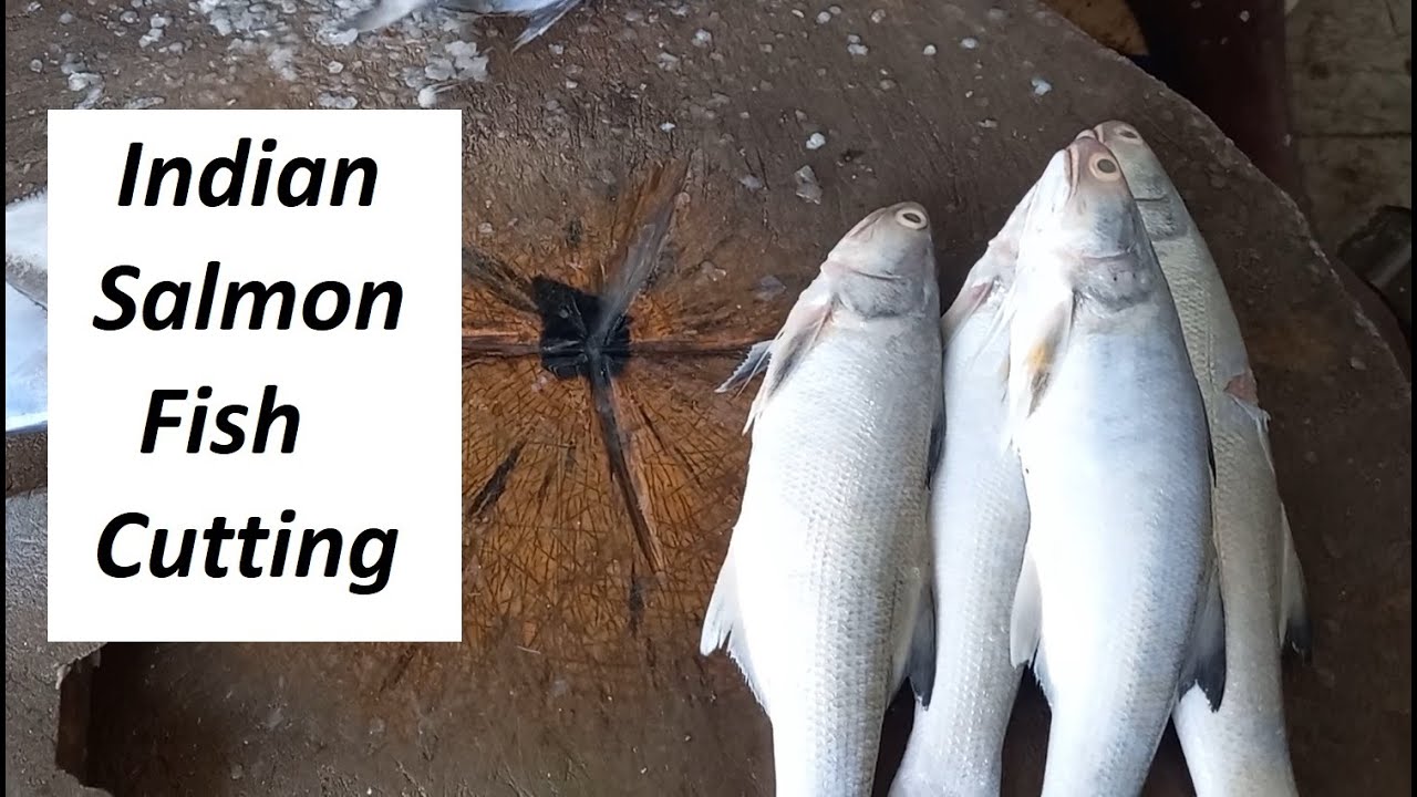 Indian Salmon / Rawas / Fourfinger Threadfin / Kala fish cutting and cleaning in Chennai Fish Market