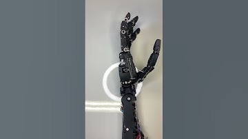 Version 2 #dexhand #robot hand tune up, random poses