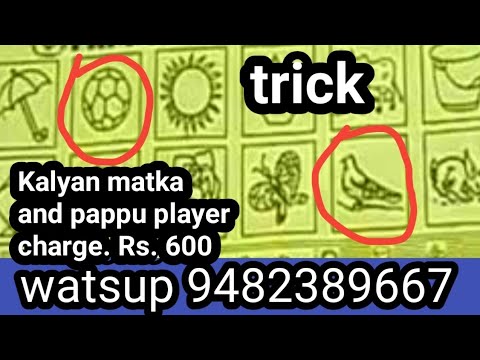 Pappu player trick, titli kabutar, bhavara gulaab