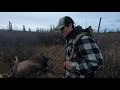 Alaska moose hunt in the brooks range 2022 part 23 with patricksimple