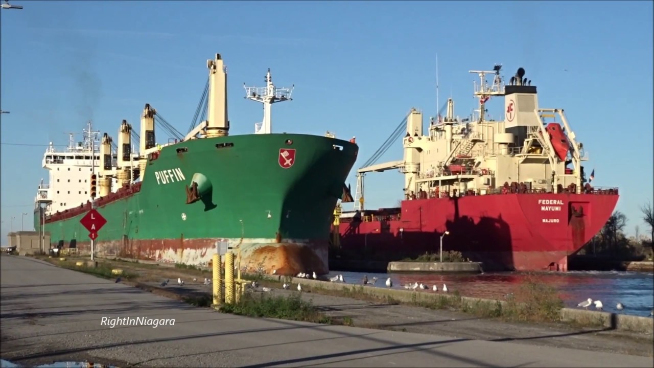 Ships FEDERAL MAYUMI & PUFFIN meet above Lock 6, Welland Canal, 2016