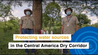 COP28: Protecting water sources in the Central American Dry Corridor