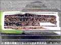 ペットボトル栽培II　チンゲン菜の種蒔き作業 の動画、YouTube動画。