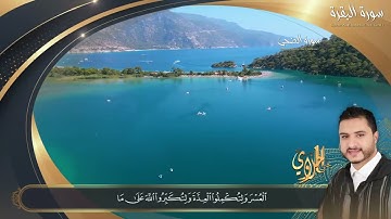 أطرد الشياطين وأحفظ نفسك من العين والحسد | لما تيسر من سورة البقرة والضحى | القارئ يحيى الحلاوي