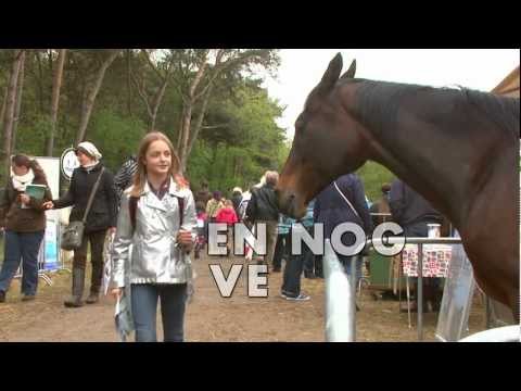 Animal Event 2013 – 3, 4 en 5 mei, Beekse Bergen Hilvarenbeek