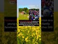 Farmers stand in silence at auction so a young man can buy back his family farmhouse #facts