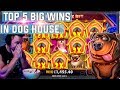 The dog house  top 5 big wins  record win on slot