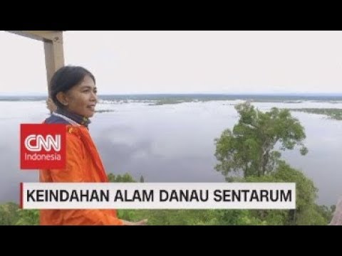 Keindahan Alam Danau Sentarum - Insight With Desi Anwar