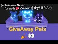 Comment Down Your Username (Giveaway) Pets🥳🤤