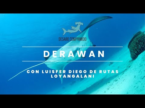 Video: Islas Derawan de Borneo: la guía completa