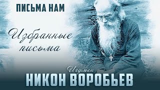 "Зло во благо" / Когда посты и молитва могут погубить человека? - игумен Никон Воробьев