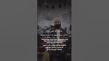 تلاوة من صلاة التراويح...م. حسين كواشي.