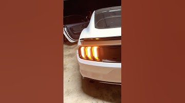 How To Change Modes On Your S550 Euro Taillights | Mustang | Clears