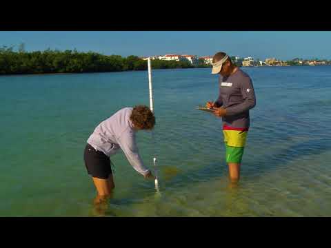 seagrass-survey-"how-to"