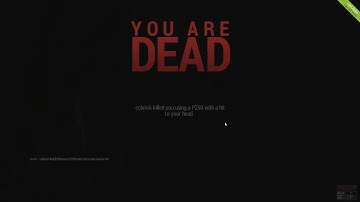 echris6 hacking in rust with shooting through walls