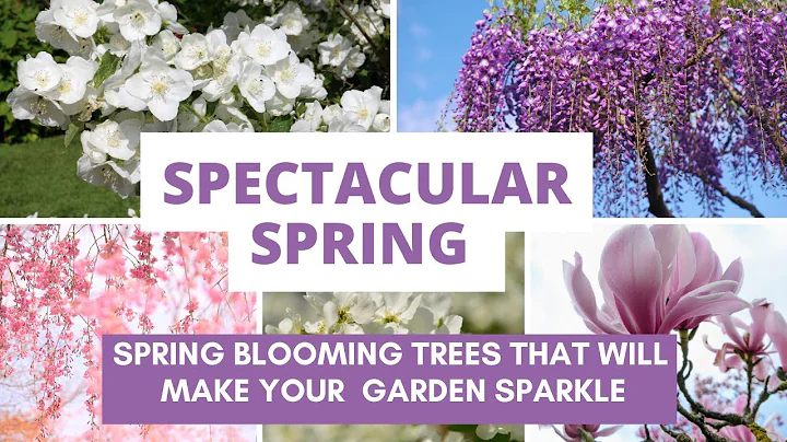 Spectacular Spring: Spring Blooming Trees and Shrubs That Will Make Your Garden Sparkle - DayDayNews